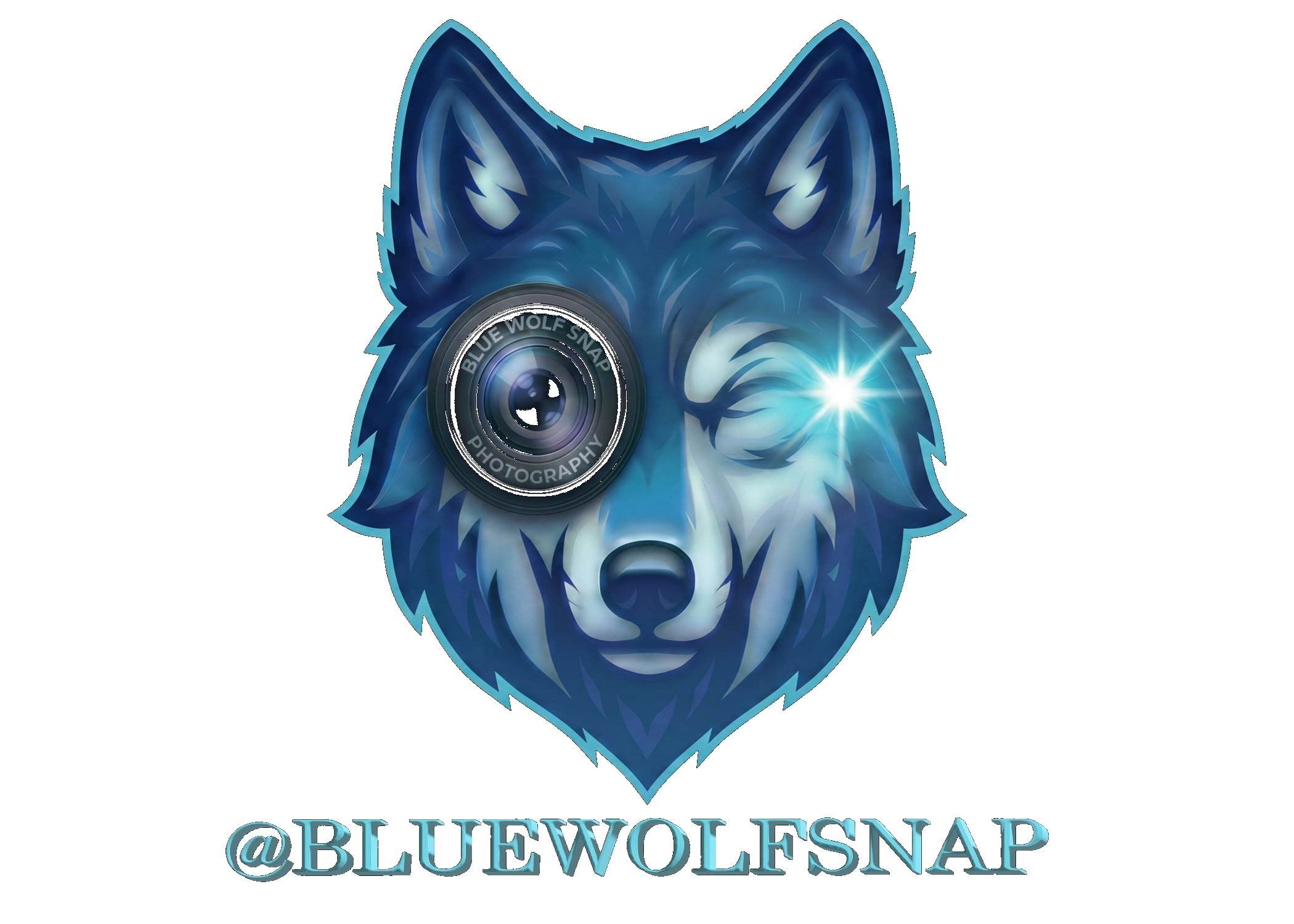 Blue Wolf Snap Photography logo